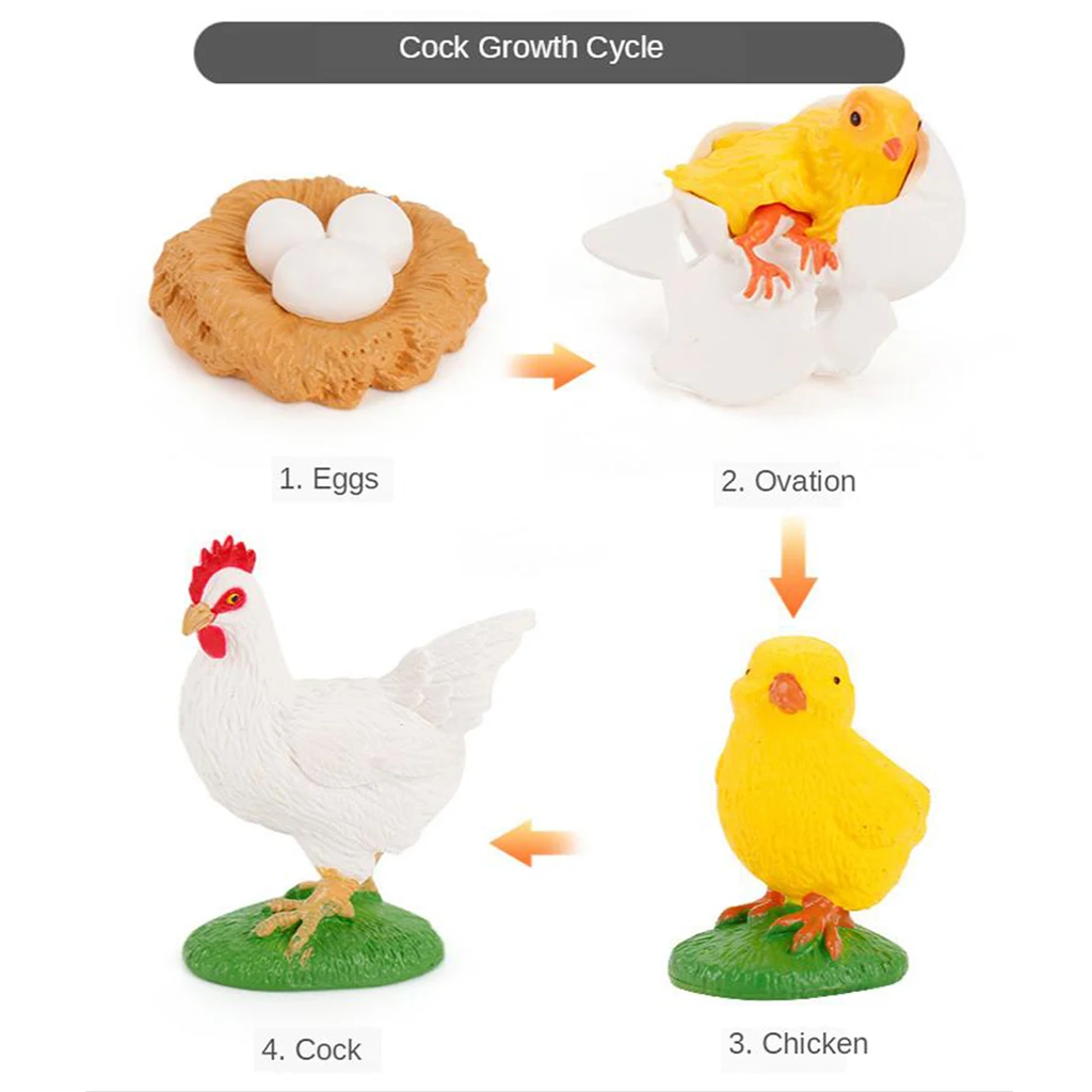 Early Kids Toddlers Simulation Animals Growth Cycle Toy Pretend Play Animal Growth Cycle Teaching Aids Early Educational Toy