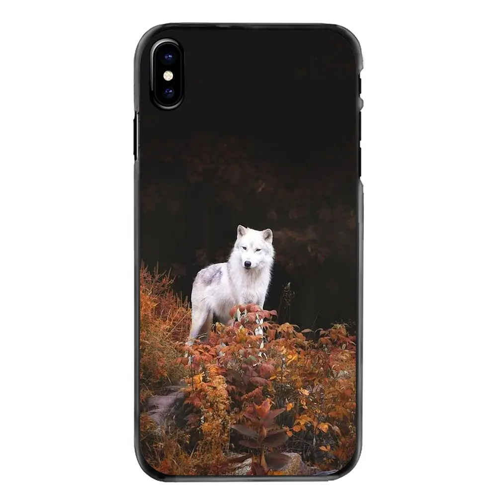 images 1 Чехлы для телефонов Игры престолов Spirit Animal Snow White Wolf для Iphone 4 4s 5 5S 5C SE 6 6S 7 8 Plus X XR XS Max iPod Touch 4 5 6 - Цвет: images 1