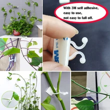 Hook Vine-Buckle-Hook Wall-Self-Adhesive-Fastener Garden-Plant-Wall Plant Climbing Tied-Fixture