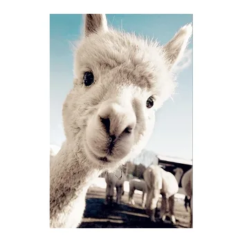

Art Oil Painting Alpaca Poster Animal Print Decorative Canvas Painting Wall Pictures for Living Room Cuadros Decoracion Salon