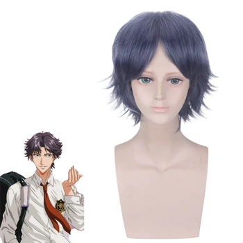 

Anime Keigo Atobe Cosplay Wig Prince of Tennis Short Black Grey Heat Resistant Synthetic Hairpiece Halloween Party Costume Wigs