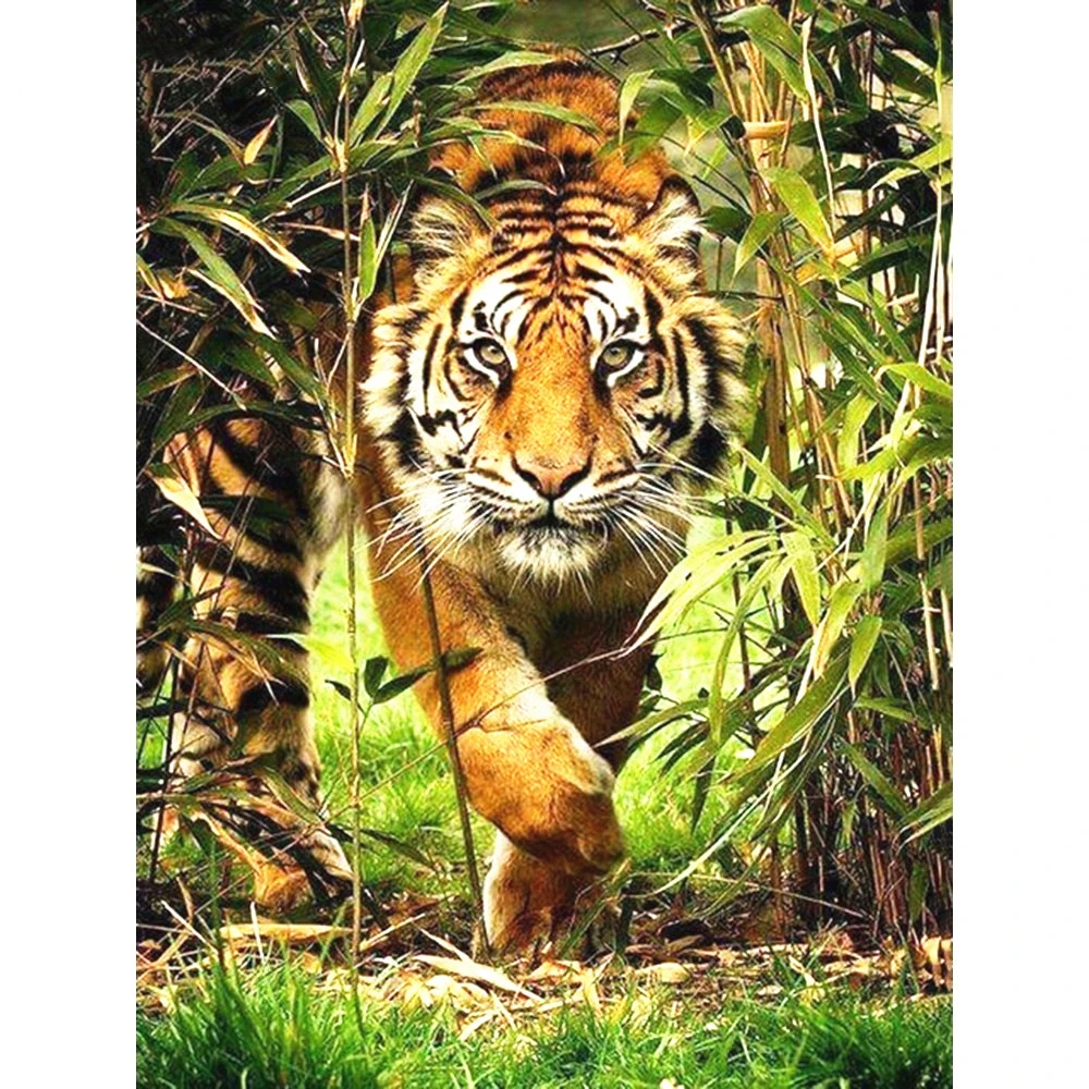 

Diamond Painting full square tiger Scenery Cross Stitch DIY Diamond Embroidery animals full rhinestones Mosaic home decor gift