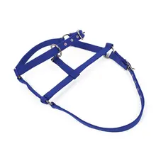 Horse Riding Belt Bridle Adjustable Halter Headstall Horsing Accessory Red/Blue