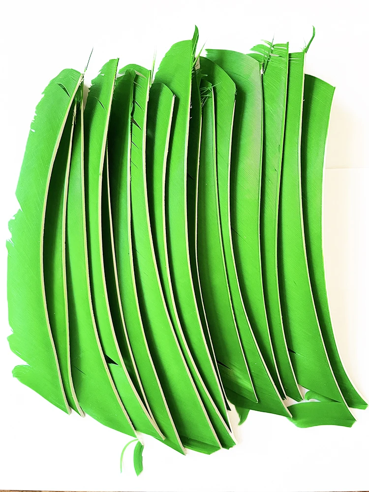 LW 50 Pcs Full Length (7-10 inch) Archery Fletches Natural Tureky Feathers Hunting Arrow Fletching for Bow DIY Accessories 6