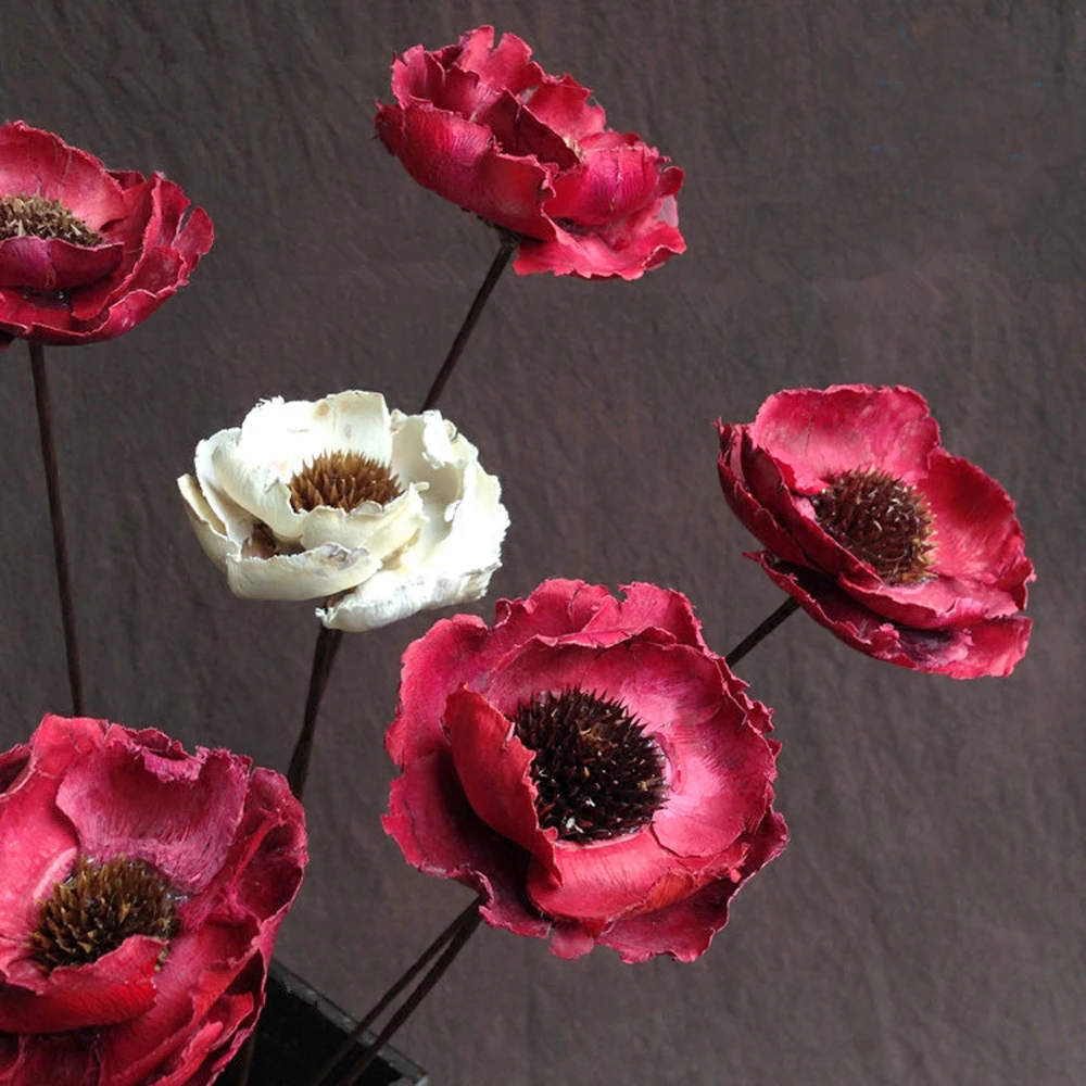 TB1cz7ULFXXXXXmXXXXYXGcGpXX_M2