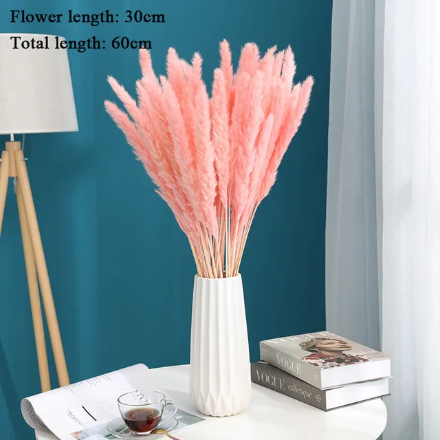 10-Pcs-Pampas-Grass-Real-Dried-Plants-Decor-Wedding-Flower-Bunch-Natural-Plants-Decor-Flowers-Free.jpg_640x640 (2)