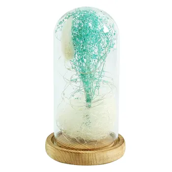 

Flower in a Glass LED Night Light Gypsophila Flower Vase with Wooden Base String Lighting Home Decor for Valentine's Gifts