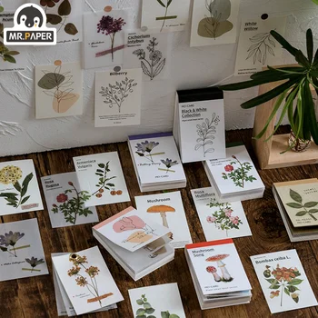 

Mr.paper 6Design 80pcs Stickers Plant Series Scrapbooking Diary Retro Bullet Journal Toy Deco Laptop MotorCycle DIY Stationery