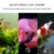 3 4 th Bluetooth Chihiros Doctor Twinstar Aquarium Alges Remover Water Fish Tank Cleaning Tool Аксессуары для растений Креветки