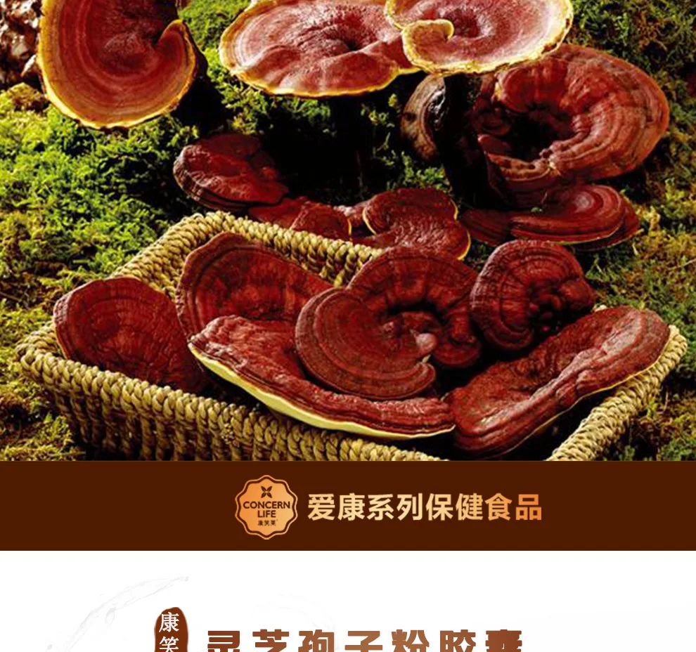 gWySivumxdSt8bVj0zlunKmkV8seT1McupU1