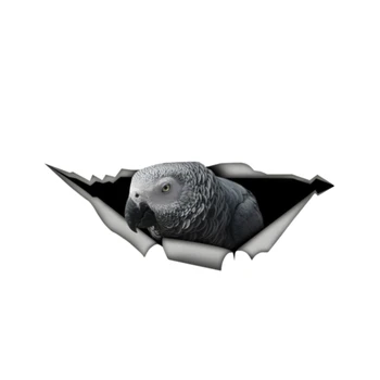 

Dawasaru African Grey Parrot Torn Metal Car Sticker Waterproof Creative Decal Laptop Motorcycle Auto Accessories PVC,13cm*5cm
