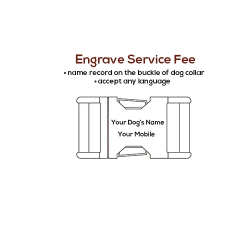 Engrave Service Fee Персонализированные Выгравированные ошейники для собак бант и поводок набор красный нейлон ошейники для щенков шнур для поводка для маленьких средних и больших собак регулируемый - Цвет: Engrave Service Fee