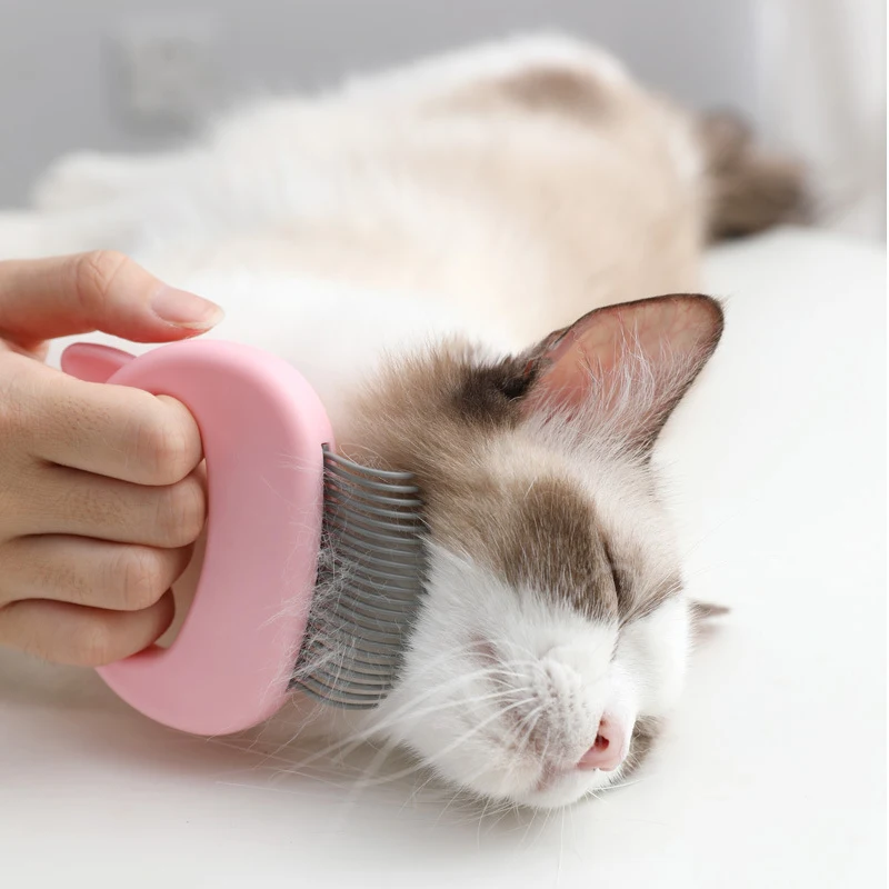 Massage Pet Brush Cat Grooming Tool Hair Cleaner Portable Removal Comb Shell Shaped Handle Shedding Brushes Cats Pet Supplies