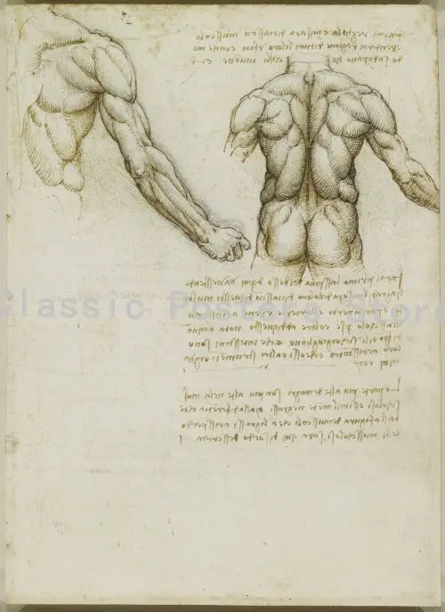 Leonardo рукопись да Винчи-витрувиан человек ностальгические плакаты декоративная Ретро картина ядро крафт-бумага ВИНТАЖНЫЙ ПЛАКАТ 6 - Цвет: 7