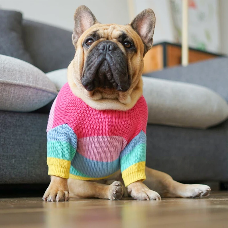 

Dog Clothes] Rainbow Sweater for Dogs, French Bulldogs Winter Clothes Dog Clothes