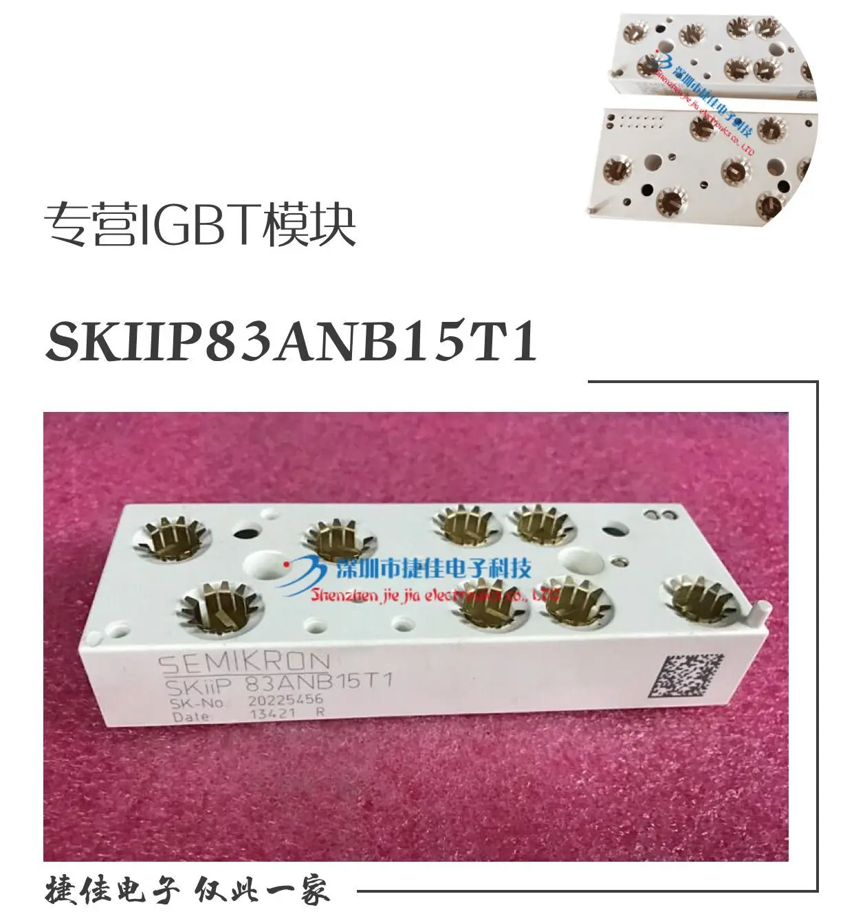 SKIIP81AC12IT1 SKIIP82AC12IT1 SKIIP83AC12IT1 SKIIP83ANB15T1