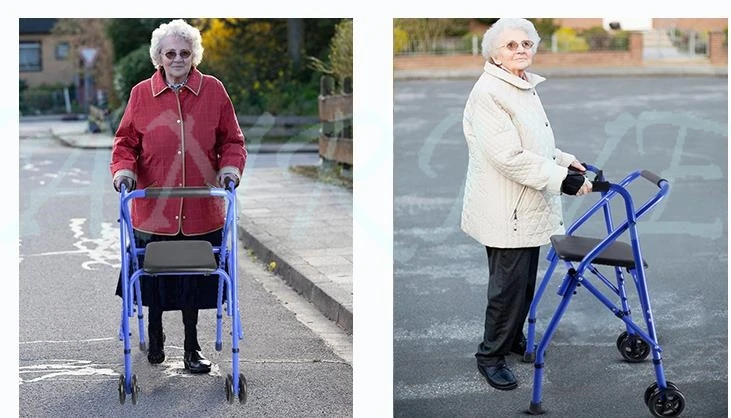 36020181213234437559