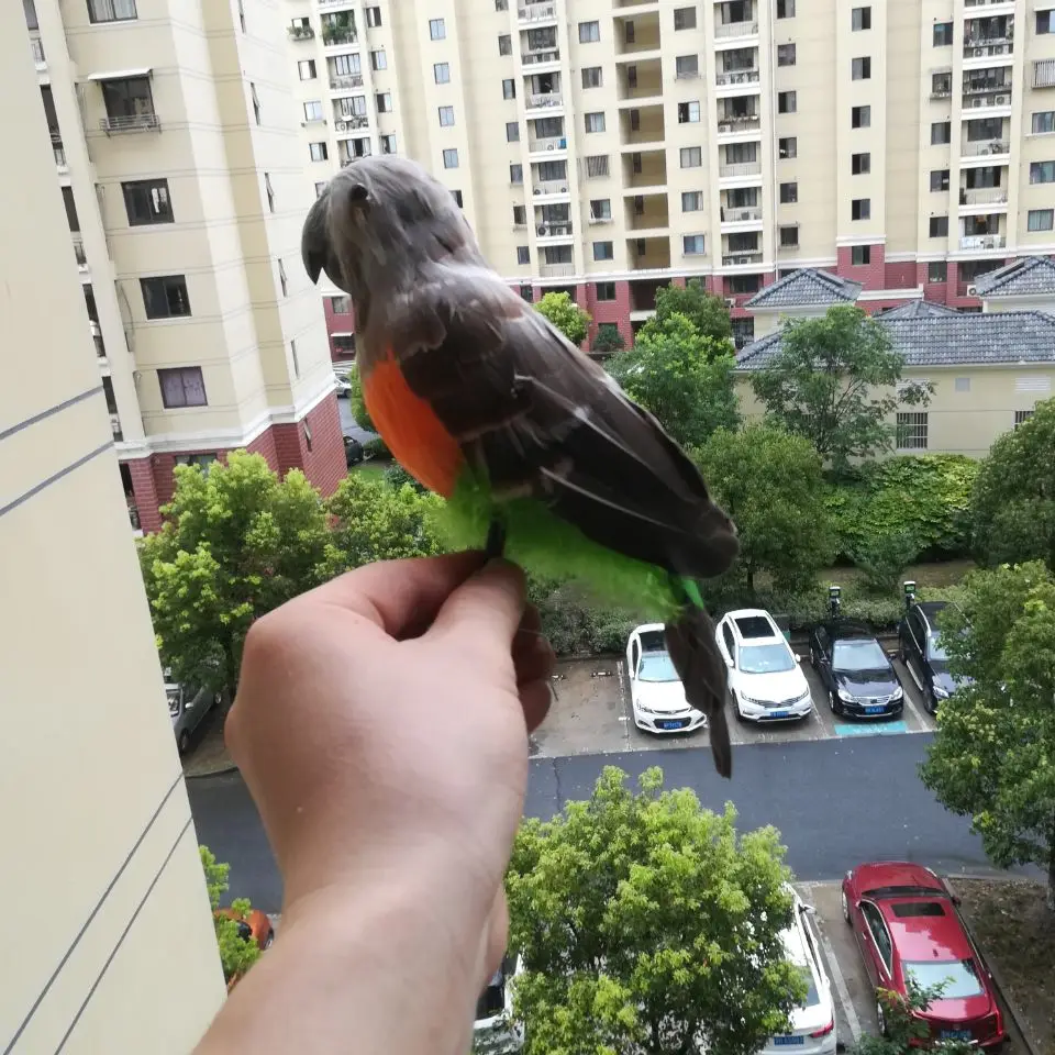 QQå›¾ç‰‡20190907150725