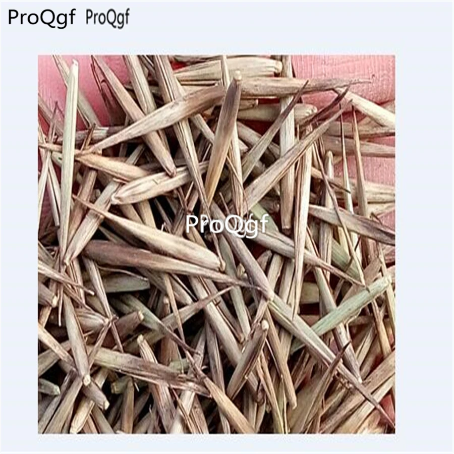 Ngryise 5000 шт набор Fernleaf Bamboo - Цвет: seed
