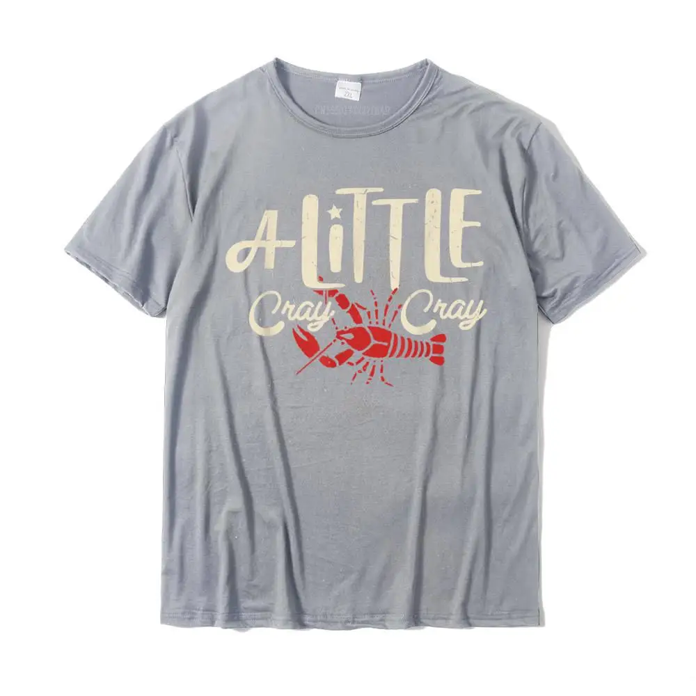 Casual Young Faddish Printing Tops Shirts Round Collar Autumn Cotton T-shirts Simple Style Short Sleeve Tops Shirts Crawfish Boil Shirt A Little Cray Crayfish Boils Men Women T-Shirt__MZ14968 grey