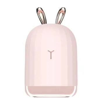 

Usb Charging Mini Colorful Night Light Vehicle Household Humidifier Spray Atmosphere Lamp Humidifier