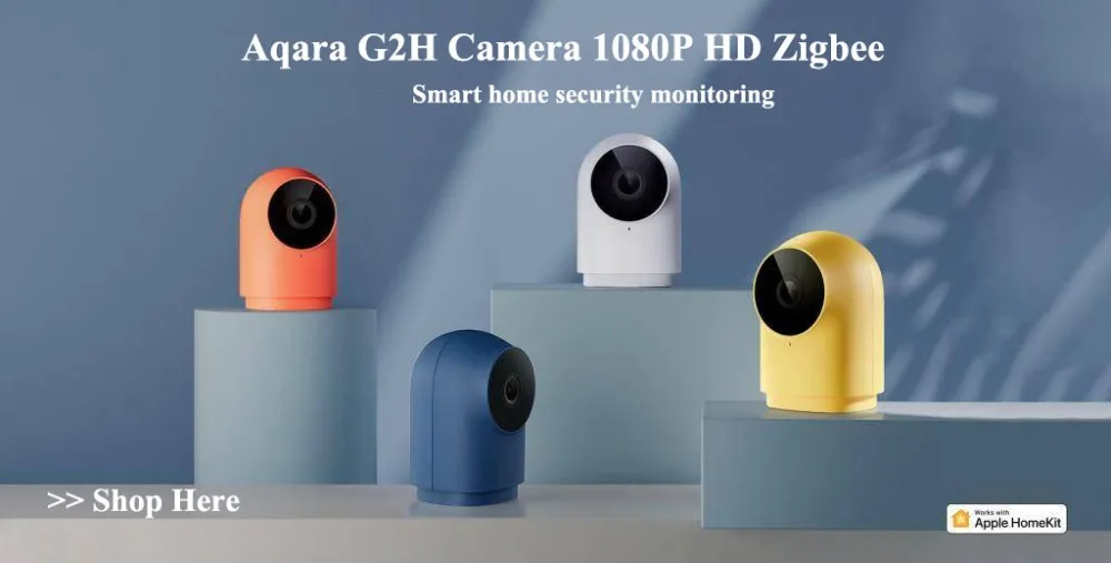 7952a202006080007437702