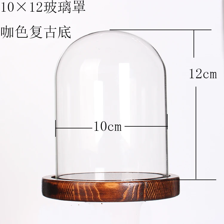 d10h12-hong-size