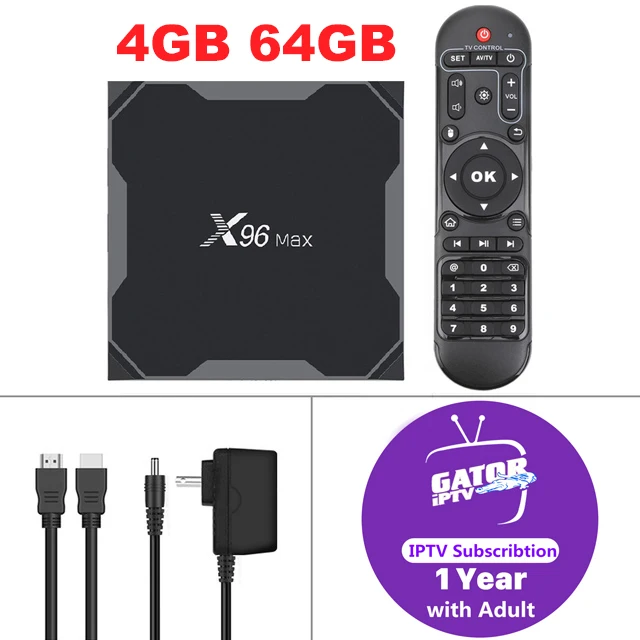 X96 Max Smart tv Box с 1 год Gator IP tv подписка 6700+ Live КАНАЛЫ Android8.1 телеприставка 4K HD медиаплеер IPTV коробки - Цвет: 4G64G(1 Year iptv)