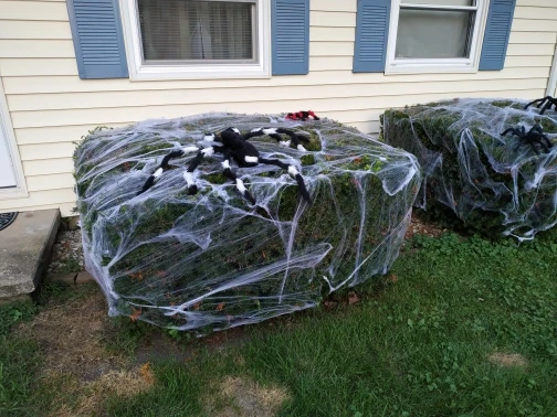 Ua3807ab1332643d8bcd4e5e99bf03dc8e