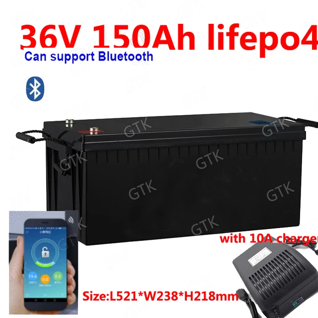 GTK LiFePO4 36V 60Ah 充電器付