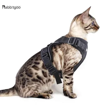 

Cat Harness Escape Proof Small Cat and Dog Vest Harness with Reflective Strap Soft Mesh Adjustable Cat Walking Jacket for Kitten