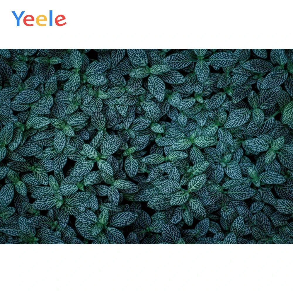 

Customized Vinyl Yellow Sunflowers Blossom Dusk Farm Birthday Party Scenic Photo Background Photography Backdrop Photocall