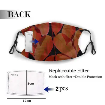 

protective mask with filter Autumn anti dust PM2.5 reuse adult teen child girl