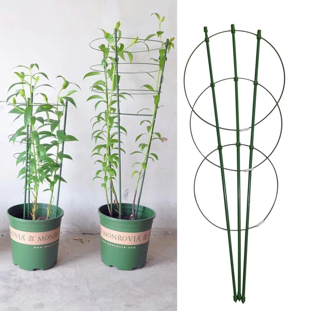 Round Circle Indoor Plant Trellis - Triple Hoop - Plant Décor & Gifts –  Leaf & Node