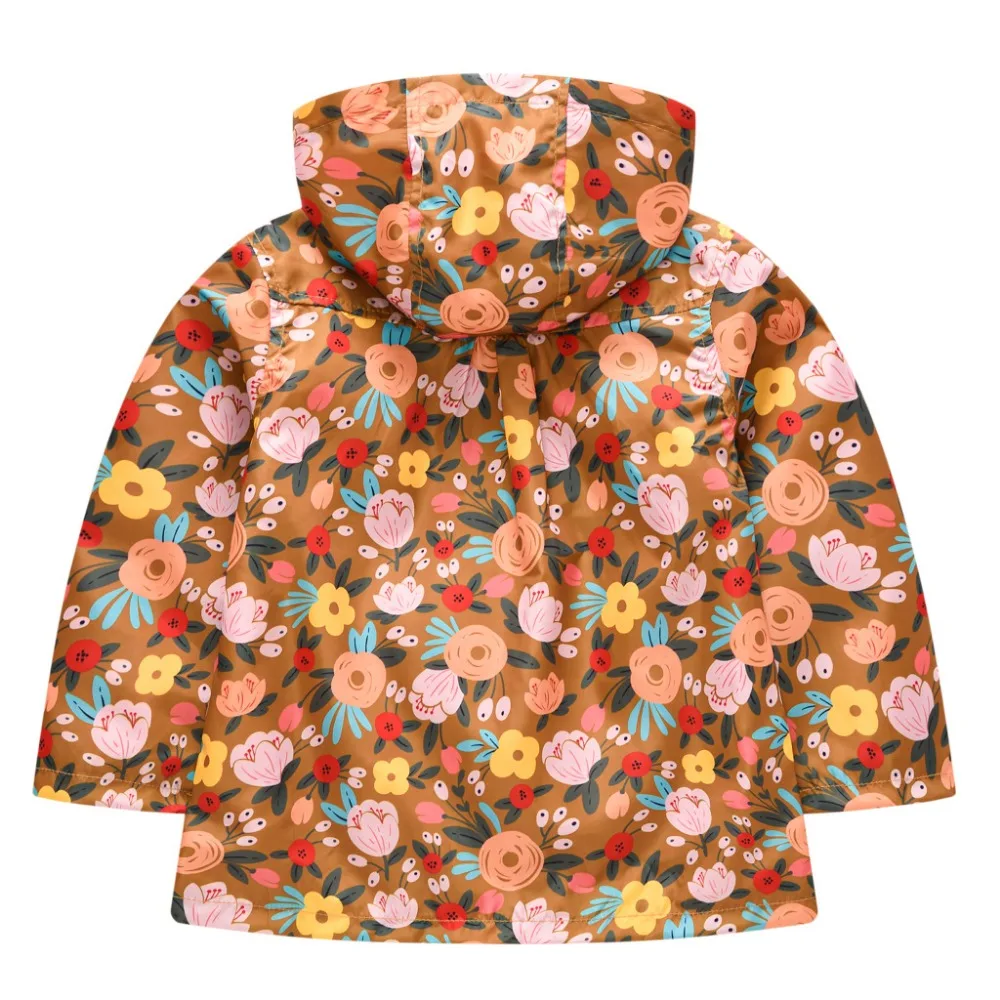 16646404892_1046179288