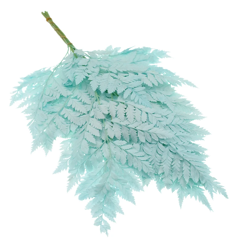 10 шт./лот натуральный сушеный папоротник лист Alpinia Serrulata материал сделай
