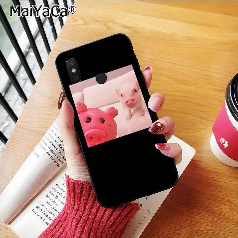 Couples Cartoon Lovely Pink Pet Pig