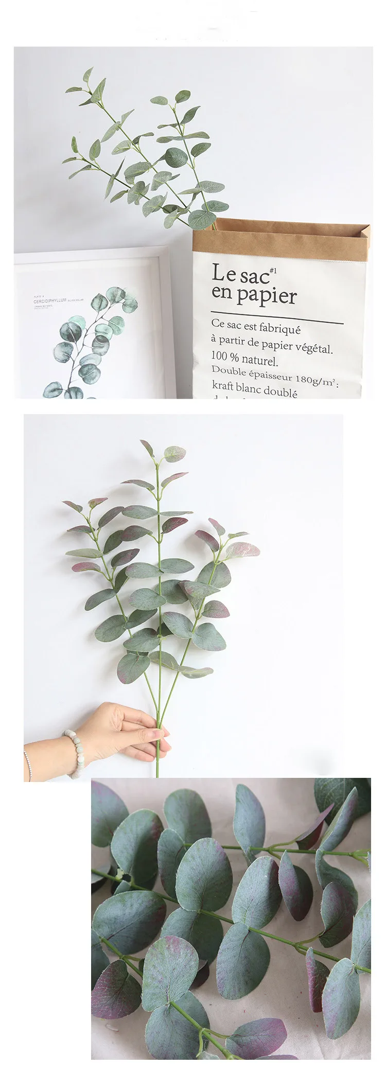 9337659435_1245478559