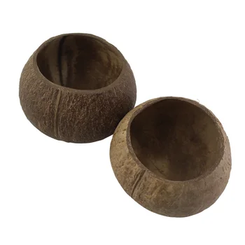 

Reusable Coconut Bowls made from real coconut shells