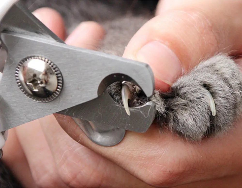 Специальный ПЭТ книпсеры для собак резак из нержавеющей стали ножницы для ухода кусачки маленький или большой размер машинка для стрижки ногтей для кошки щенка