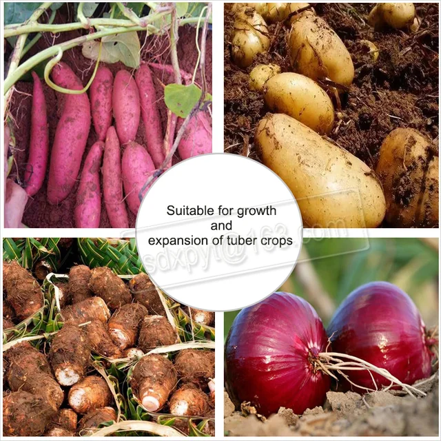 Növényi Lombműtő Növények Gyorsan Növekednek, A Sárga Levelek Zöldre Válnak, Az Auxinok Növény Aminosavak Bővítik Gyümölcsöket - Image 3