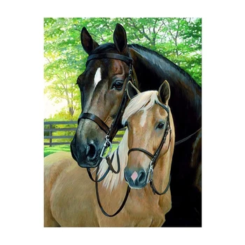 

Fashion-Paint By Numbers Kits with Brushes and Acrylic Pigment for Adults Beginner, Painting on Canvas-2 Horses 16X20 Inch