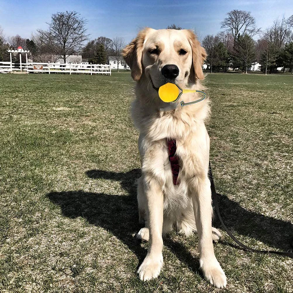 EVA Floating Pet Ball Puppy Bite Resistant Ball with Rope Pet Training