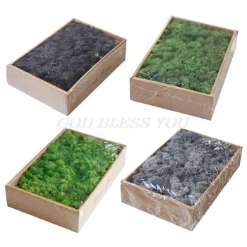 

200g Preserved Forest Moss Fresh Green Floral Moss Dressing Potted Plants Fairy Garden Terrariums Epoxy Resin Art Crafts