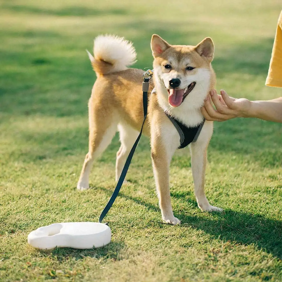 5 м Xiaomi Pet телескопическая Тяговая веревка гибкий замок безопасности автоматическое разматывание фирма растяжение Xiomi трек веревка для домашних животных