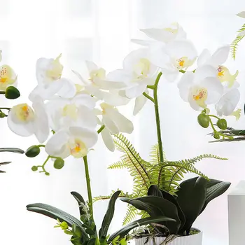 

White Phalaenopsis simulation potted ornaments, fake flowers, green plants, small bonsai simulation plants, delicate artificial