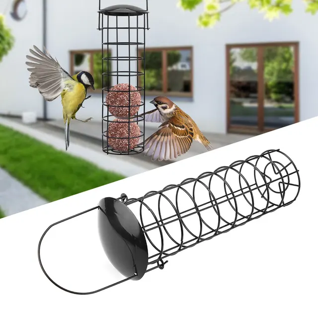 Bird Feeder Outdoor Wild Birds Feeding Garden Park Tree ...