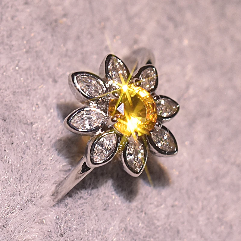 11405511913_1492657371