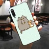 Mobile Phone Accessories