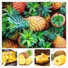 Лидер продаж 103 шт./упак. фруктов и овощей Семена бонсай «ананас» лампа "Кукуруза" садовое желтый, сладкой